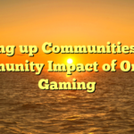 Setting up Communities: The Community Impact of On-line Gaming