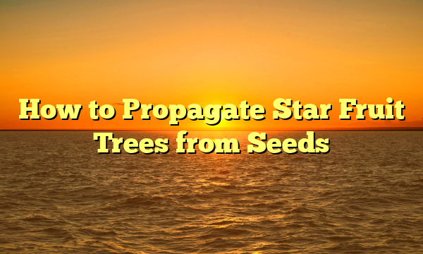 How to Propagate Star Fruit Trees from Seeds