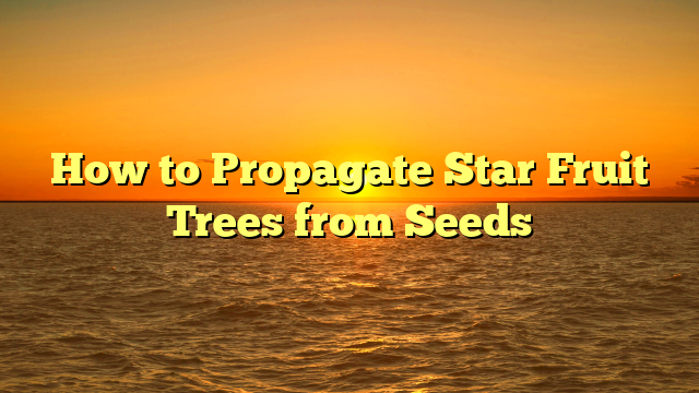 How to Propagate Star Fruit Trees from Seeds