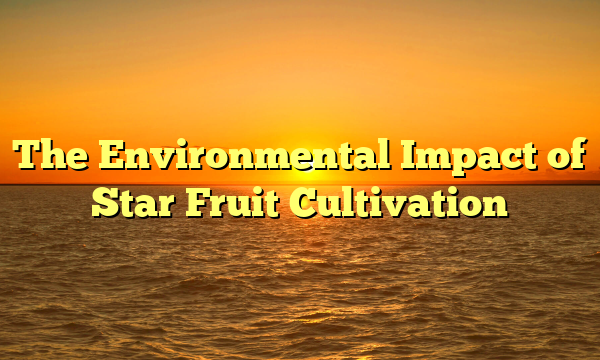 The Environmental Impact of Star Fruit Cultivation